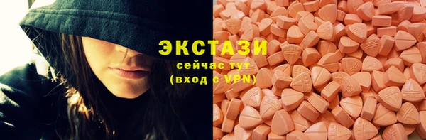 прущие грибы Верея